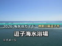 2026年逗子海水浴場の開設情報を案内する記事サムネイル