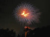 夜空に上がる花火を見上げる観客のシルエット