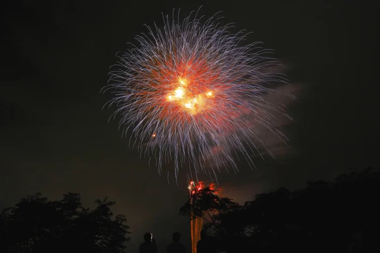 夜空に上がる花火を見上げる観客のシルエット
