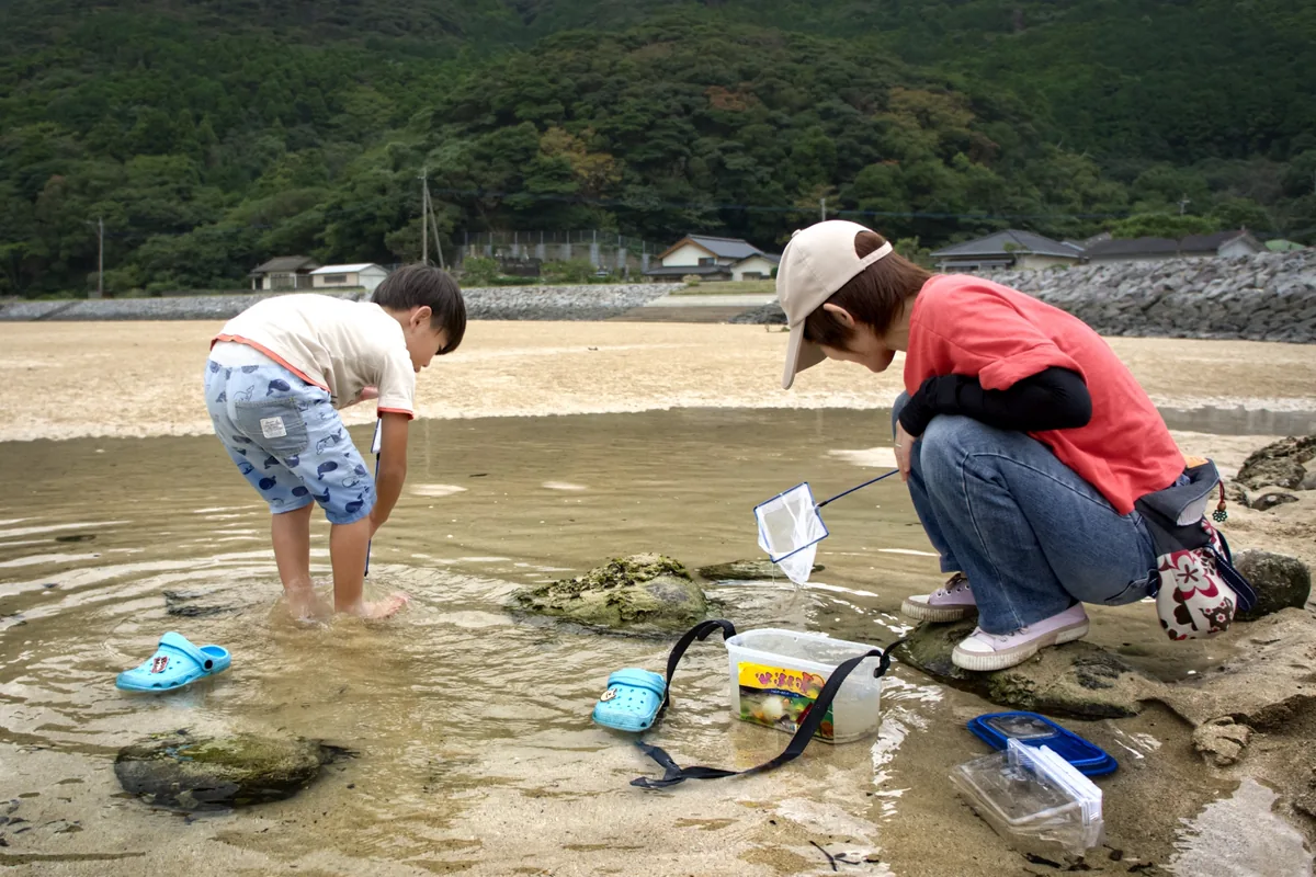 親子で砂浜の生き物を探すイメージ（平井海水浴場の現地写真ではありません）