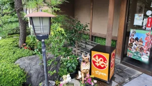 川越いちのや本店の玄関まわりの植栽と行灯看板