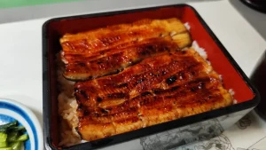 川越いちのや本店のうな重(菊)にのった2枚のうなぎ