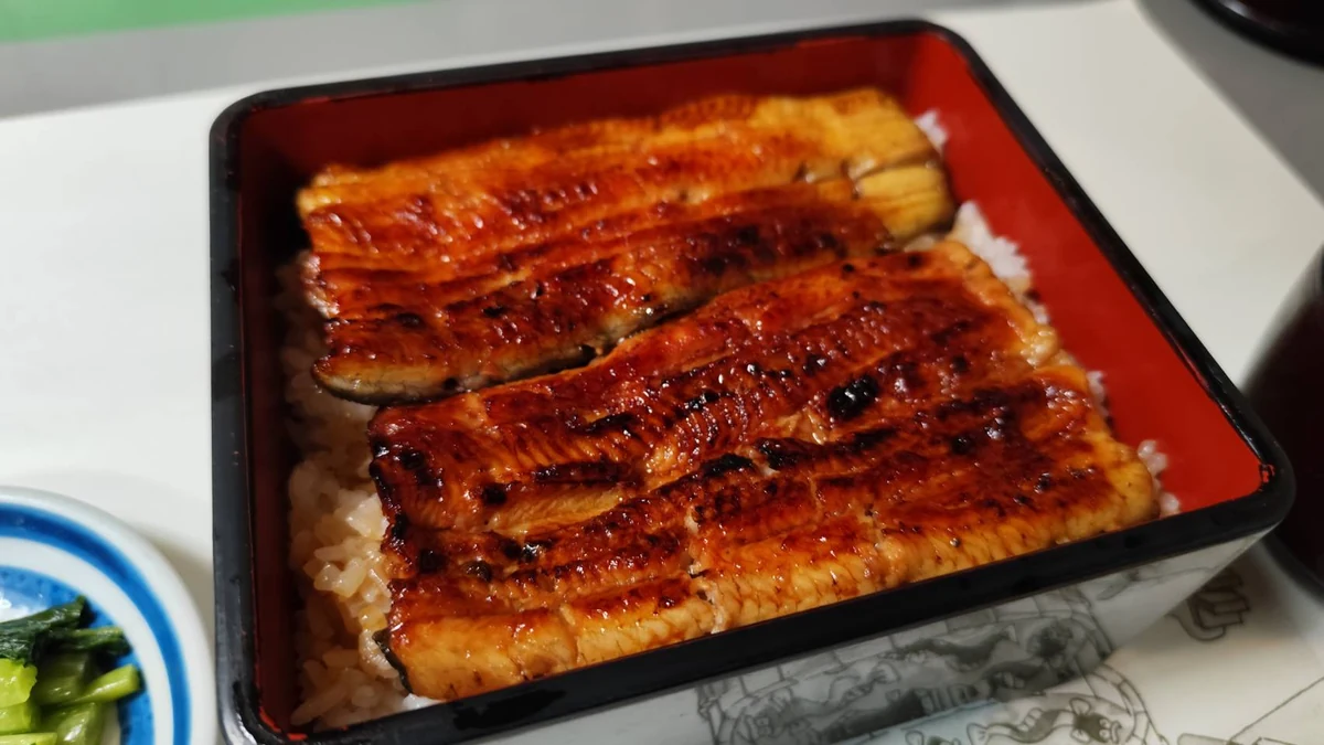 川越いちのや本店のうな重(菊)にのった2枚のうなぎ