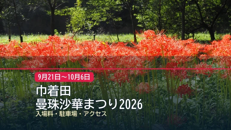 巾着田 / 曼珠沙華まつり2026の記事アイキャッチ
