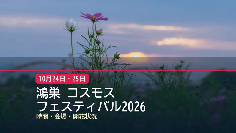鴻巣 コスモス / フェスティバル2026の記事アイキャッチ