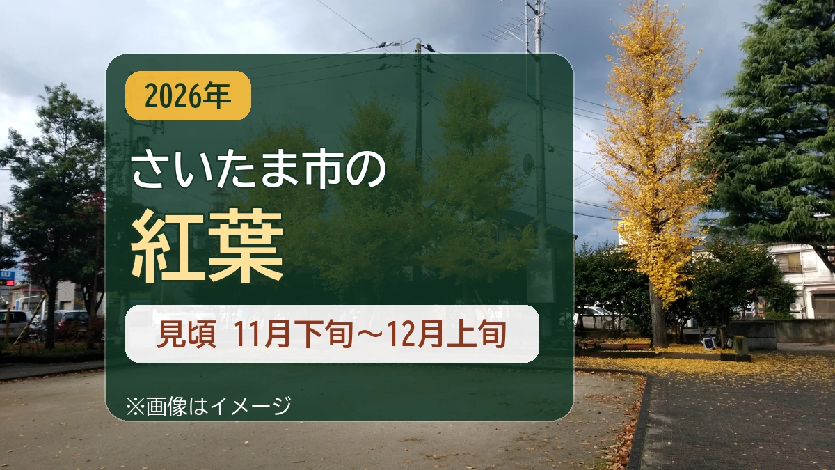 さいたま市の紅葉2026 見頃は11月下旬から12月上旬（画像はイメージ）